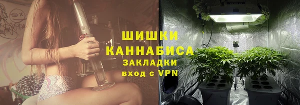 сатива Протвино