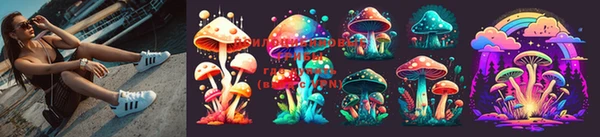 дмт Болохово