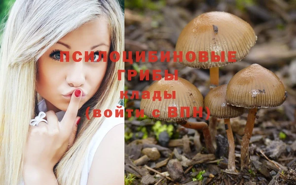 сатива Протвино