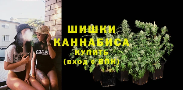 сатива Протвино